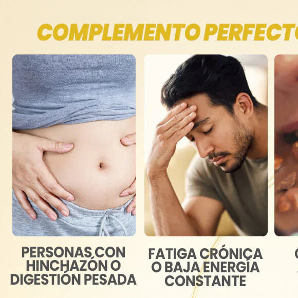 CANDIDA CLEANSE EQUILIBRIO INTESTINAL